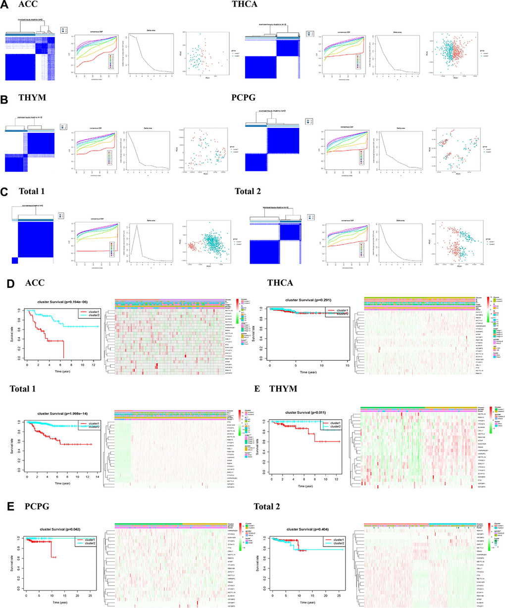 Identification of consensus clusters by m6A RNA methylation regulators in endocrine system tumors. (A–C) Consensus clustering matrix for k = 2, and consensus clustering cumulative distribution function (CDF) for k = 2 to 9, and relative change in area under CDF curve for k = 2–9, and principal component analysis (PCA) of total RNA expression profiles in tumors data from the cancer genome atlas (TCGA) dataset; (D, E) Heatmaps, and Kaplan–Meier overall survival (OS) curve and clinicopathologic features of two clusters defined by consistent expression of the m6A regulatory genes (clusters1/2).