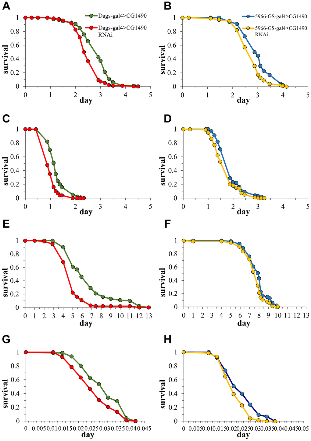 Effect of dusp7 knockdown on Drosophila stress tolerance. (A) Effect of dusp7 knockdown on Drosophila tolerance to H2O2. (B) Effect of gut-specific dusp7 knockdown on Drosophila tolerance to H2O2. (C) Effect of dusp7 knockdown on Drosophila tolerance to paraquat. (D) Effect of gut-specific dusp7 knockdown on Drosophila tolerance to paraquat. (E) Effect of dusp7 knockdown on Drosophila tolerance to starvation. (F) Effect of gut-specific dusp7 knockdown on Drosophila tolerance to starvation. (G) Effect of dusp7 knockdown on Drosophila tolerance to heat stimulation. (H) Effect of dusp7 gut-specific knockdown on Drosophila tolerance to heat stimulation. (>: hybridization).