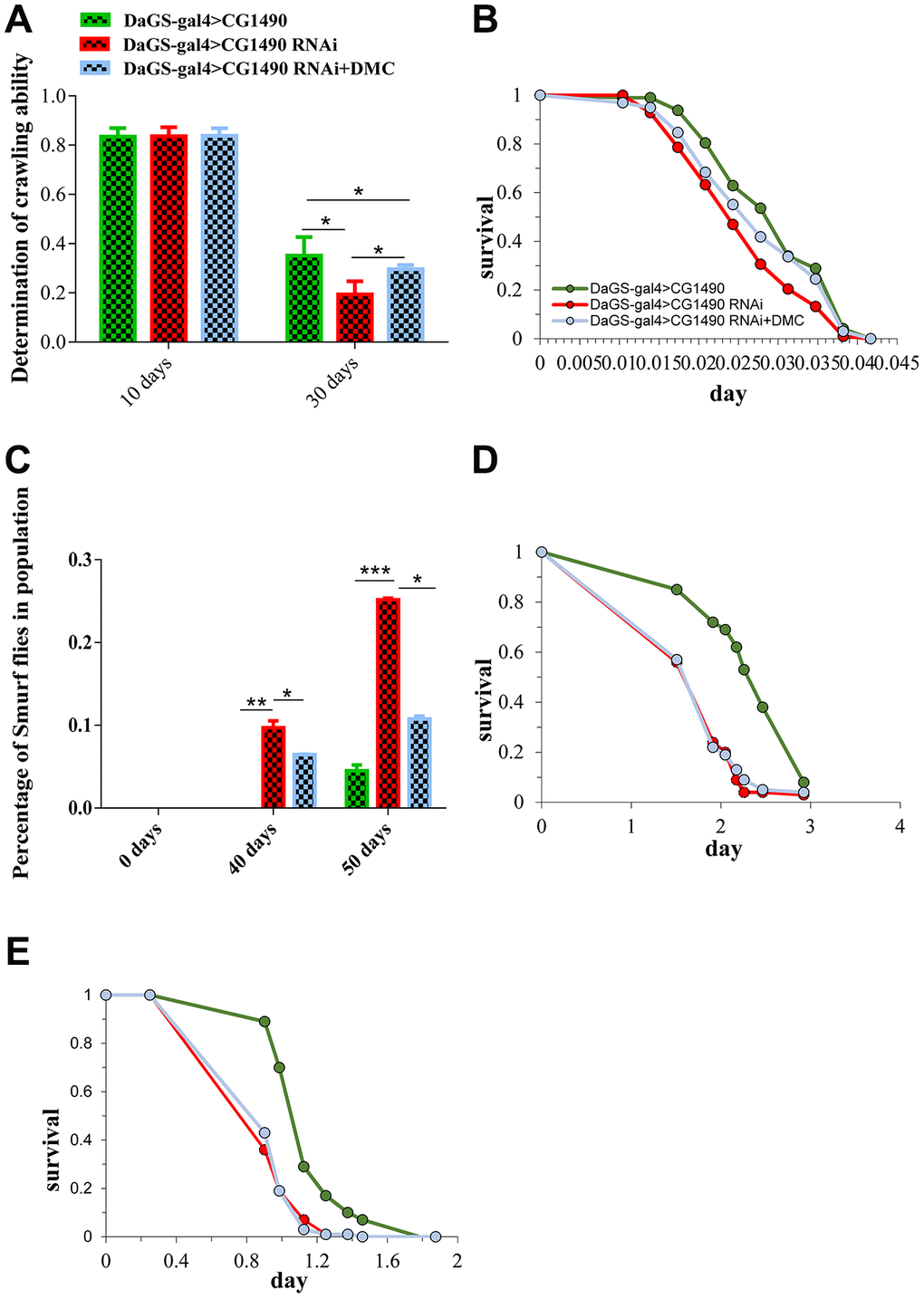 Effect of DMC addition on the senescence traits of dusp7-knockdown Drosophila. (A) Effect of DMC addition on dusp7-knockdown Drosophila (* p. (B) Effect of DMC addition on heat-stimulation tolerance in dusp7-knockdown Drosophila. (C) Effect of DMC addition on H2O2 tolerance in dusp7-knockdown Drosophila (* pppD, E) Effect of DMC addition on paraquat (D) and H2O2 (E) tolerance in dusp7-knockdown Drosophila. (>: hybridization).