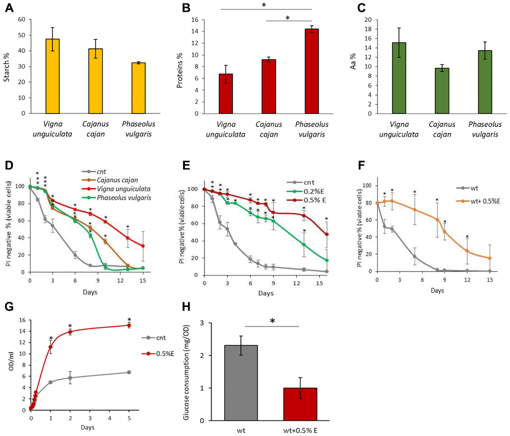 Chemical properties of bean extracts. (A) Starch content, (B) protein content and (C) amino acid content in V. unguiculata, C. cajan and P. vulgaris extracts. *pD) CLS of yeast cells grown in the absence or presence of 0.2% V. unguiculata, C. cajan and P. vulgaris extracts. *pE) CLS of yeast cells grown in SD medium containing 2% glucose in the absence or presence of 0.2% or 0.5% V. unguiculata extract, added in exponential phase of growth. *pF) CLS of yeast cells grown in SD medium containing 2% glucose in the absence or presence of 0.5% V. unguiculata extract, added to cells in stationary phase (and not in exponential phase, as in the other experiments). *pG) Growth curves of yeast cells grown in SD medium containing 2% glucose in the absence or presence of 0.5% extract V. unguiculata. *pH) Glucose consumption (mg/OD) of yeast cells grown in SD medium in the absence or presence of 0.5% V.unguiculata extract, measured on growth media sampled at multiple time points during exponential phase of growth (0.2-2.5 OD/ml). *p