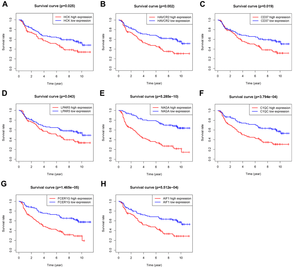 Overall survival of genes in Grade II/III glioma patients in the CGGA Part C cohort. (A) HCK. (B) HAVCR2. (C) CD37. (D) LPAR5. (E) NAGA. (F) C1QC. (G) FCER1G. (H) AIF1.