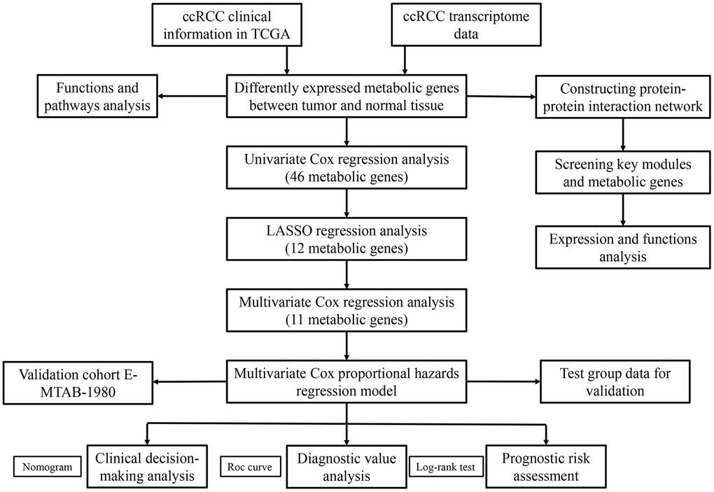 The flow chart of the study strategy for identifying metabolic genes with prognostic significance in ccRCC.