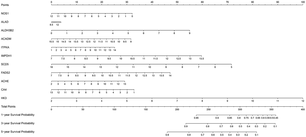 The nomogram based on the 11 metabolic genes for predicting the one- year, three-year and five-year OS of ccRCC patients.