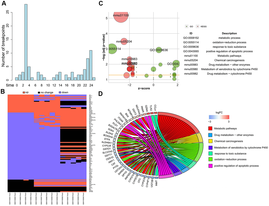 Dynamics of global gene expression after ConA treatment. (A) The breakpoint distribution of 115 top dynamic genes identified by Trendy with R2 > 0.98 is shown. (B) Heatmap shows the expression of top dynamic genes in the liver samples harvested at 0h, 3h, and 24h from 10 mg/Kg ConA treated mice (GSE45413). (C) The most significantly enriched GO terms and KEGG pathways for the top dynamic genes are shown. (D) The GO Chord plot shows the enriched biological function terms for the top dynamic genes. The genes are listed on the left side and their fold change values are shown according to the color scale.