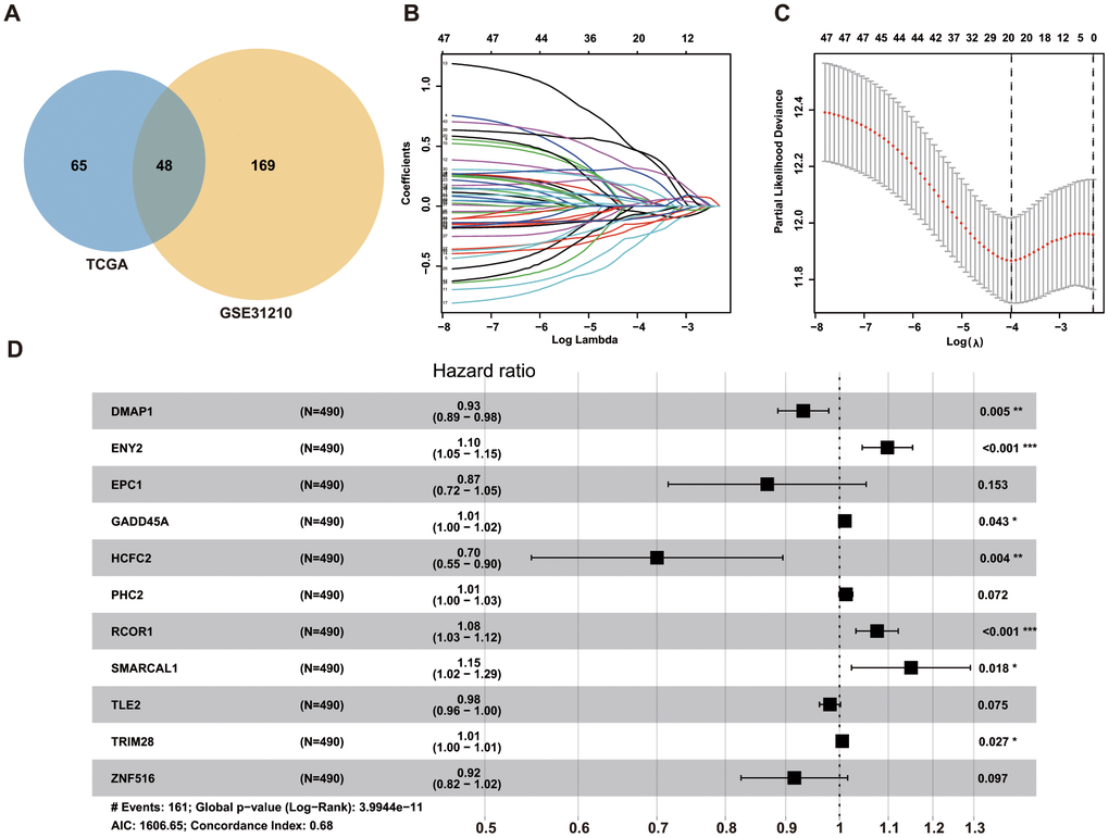 Identification of ERGs for predicting survival of LUAD patients. (A) Venn diagrams of prognostic ERGs in TCGA and GEO datasets. (B) Identification of 20 prognostic ERGs by LASSO regression analysis of TCGA data. (C) Each curve represents an ERG according to 1,000-fold cross-validation using 1-SE criteria in LASSO regression analysis. (D) Forrest plot of 11 ERGs generated by multivariate Cox regression analysis.