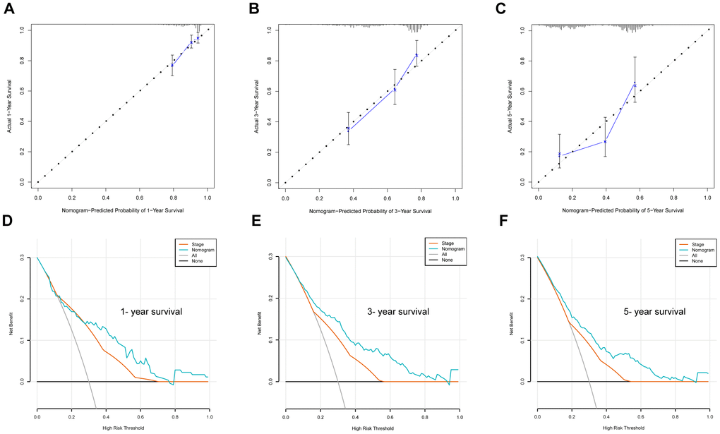 Nomogram evaluation using the training set. (A–C) Calibration plot examining the estimation accuracy. (D–F) DCA assessing clinical utility.