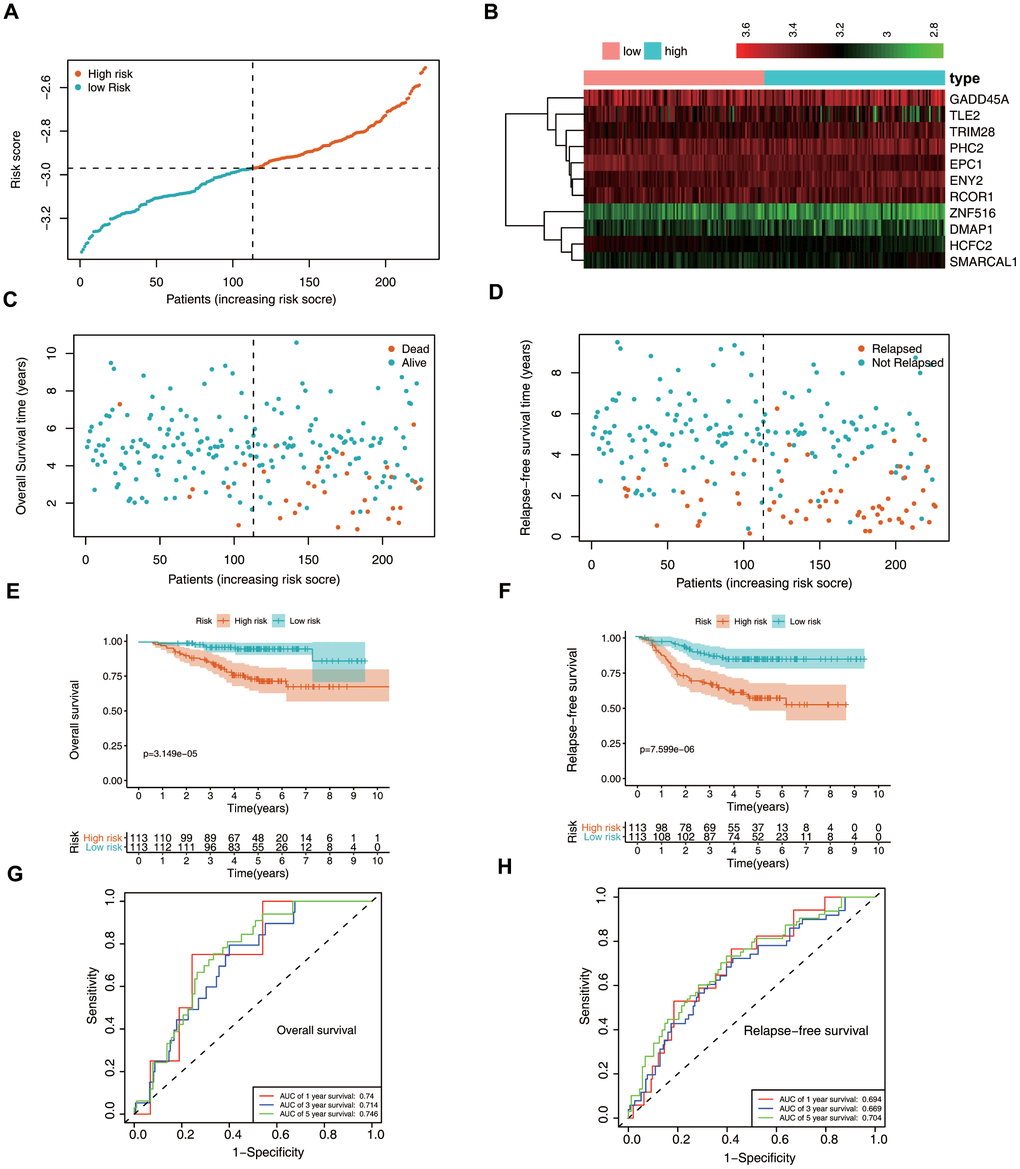 Validation of the epigenetic biosignature in the test set. (A) Rankings for the risk signature and group distribution. (B) Heatmap of the gene-expression profiles. Patients in the high-risk group demonstrated (C) earlier mortality and (D) earlier relapse. (E) OS and (F) RFS of patients in the low- and high-risk groups. ROC analyses of (G) OS and (H) RFS predictions using the epigenetic signature.