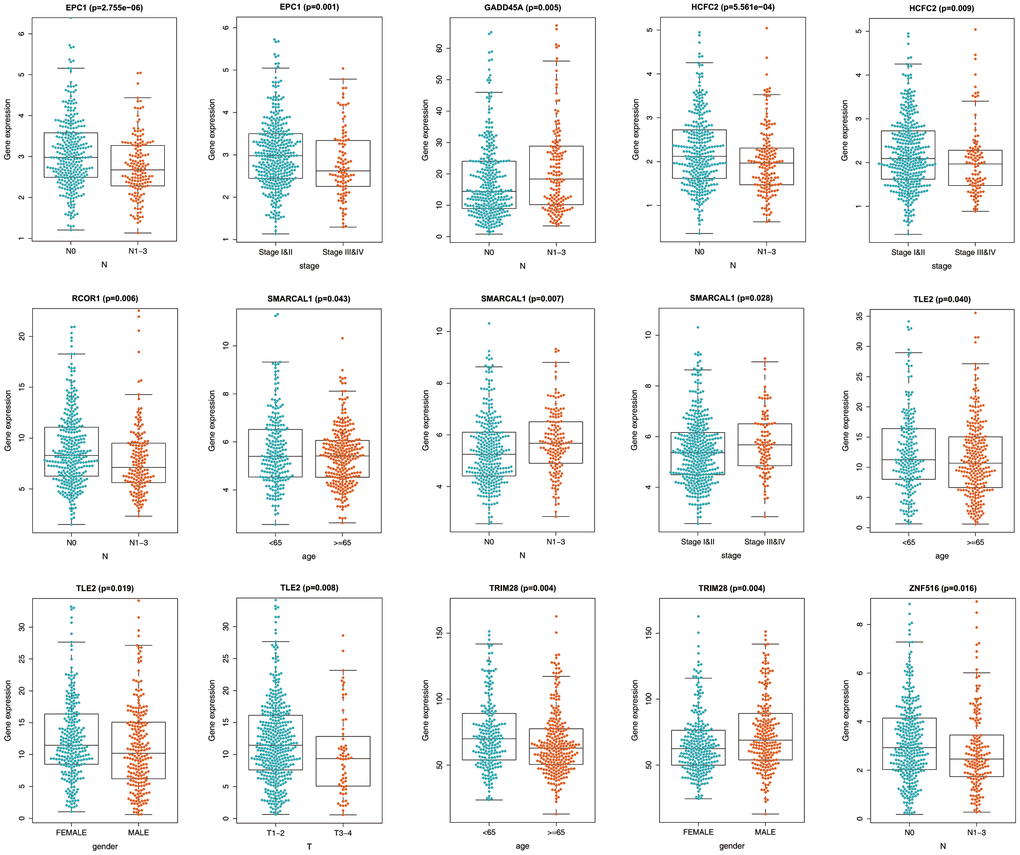 Relationship between the prognostic epigenetic biosignature and clinicopathological features.