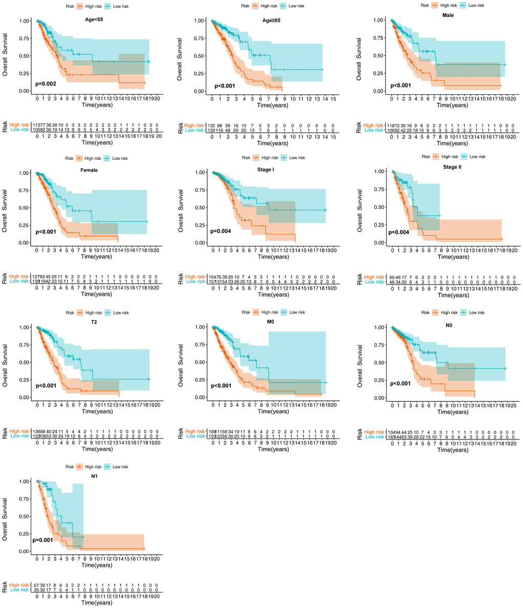 Verification of the biosignature stratified by different clinical parameters in the training set.