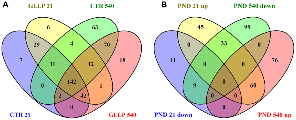 Venn diagram. (A) Shared proteins between CTR and GLLP groups in PND 21 and 540. (B) Shared proteins differentially expressed between the CTR and GLLP groups on PND 21 and 540. CTR = Control; GLLP = Gestational and lactational low protein; PND = Postnatal day; up = upregulated proteins; down = downregulated proteins.