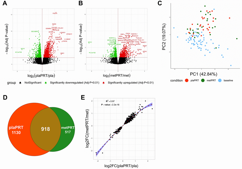 Metformin blunts the global transcriptomic changes induced by PRT in human skeletal muscle. (A) Volcano plot of 2048 DEG (q-value B) Volcano plot of 1435 DEG (q-value C) Principal component analysis on DEG shared between plaPRT (orange) and metPRT (green) compared to baseline (blue); (D) Venn diagram showing an overlap of DEG common between plaPRT and metPRT vs baseline; (E) Correlation plot between the fold changes of DEG common between plaPRT and metPRT.