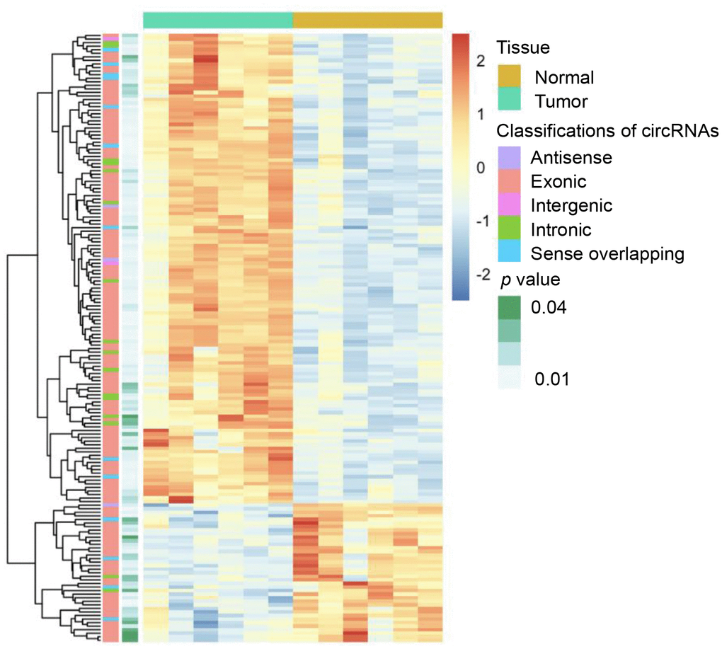 Heatmap of differentially expressed circular (circ)RNAs in distal cholangiocarcinoma. In total, 132 up- and 39 downregulated circRNAs were identified with microarray (|log2(fold change)|> 1 and p 