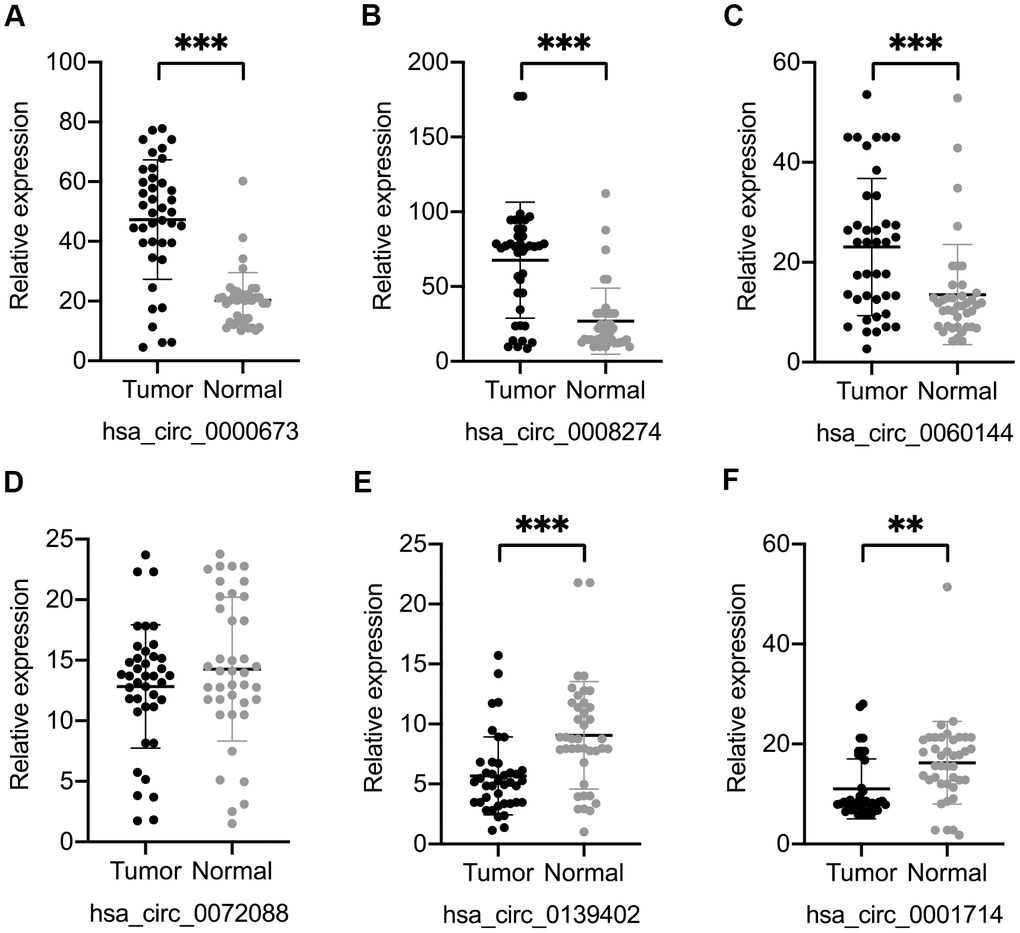 Validation of six differentially expressed circular (circ)RNAs by qRT-PCR. Three circRNAs, including hsa