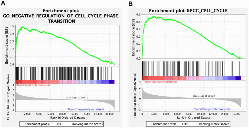 Gene set enrichment analysis (GSEA) for cholangiocarcinoma (CCA). Five hub genes of CCA, including BUB1B, CCNB1, CDC6, CHEK1, and MCM2 were enriched in the cell cycle based on biological process (A) and Kyoto Encyclopedia of Genes and Genomes analyses (B).