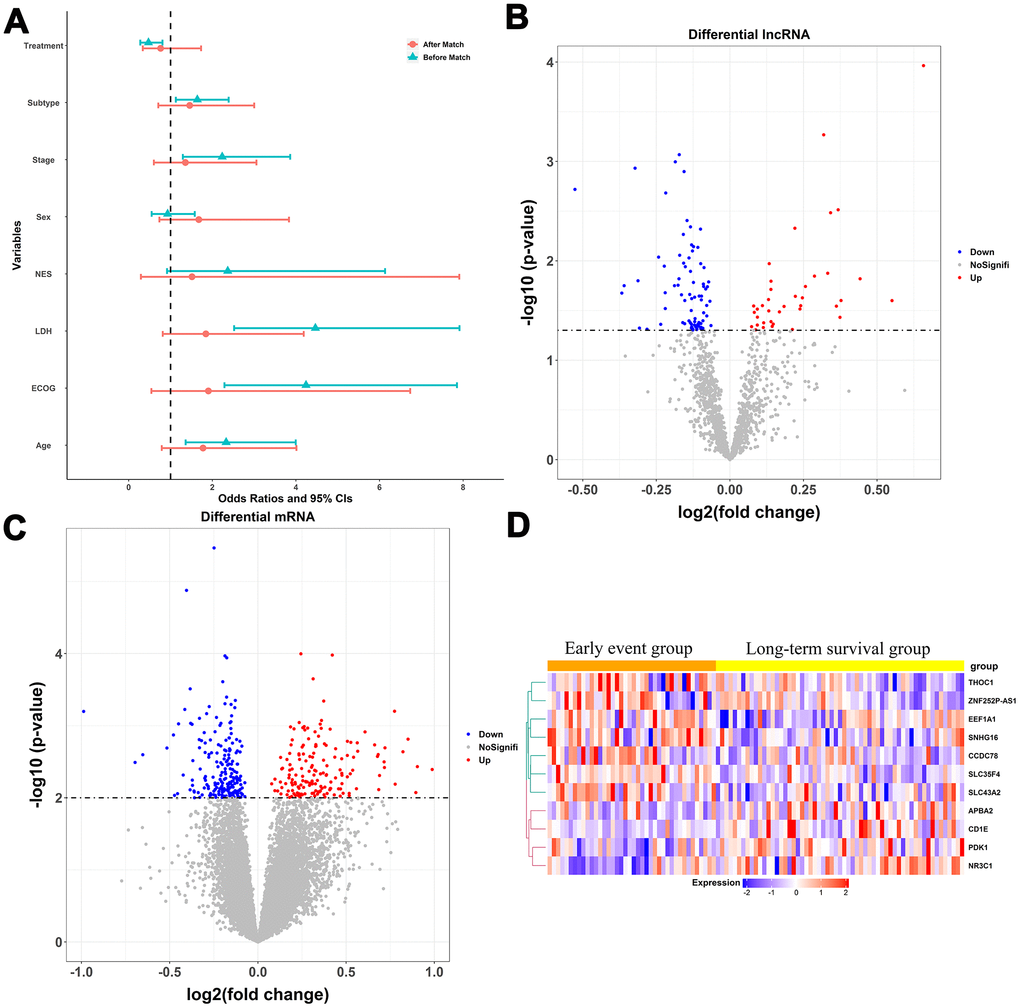 Construction of the multigene risk score (MGRS). (A) Baseline characteristics of patients in the early event and long-term survival groups before and after matching; ECOG, Eastern Cooperative Oncology Group; LDH, lactate dehydrogenase; NES, number of extra-nodal sites; Stage, Ann Arbor stage; (B, C) Volcano plots for differentially expressed lncRNAs and mRNAs in the long-term survival group compared with the early event group; (D) Expression patterns of the 11 RNAs included in the MGRS.