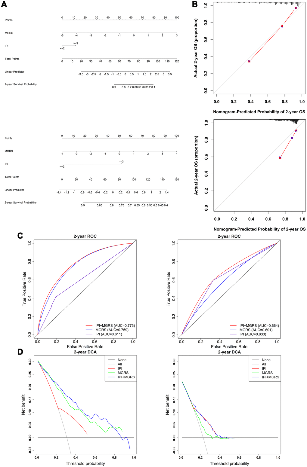 Evaluation and comparison of model performances in predicting 2-year survival. (A) Nomogram based on the International Prognostic Index (IPI) and multigene risk score (MGRS) with the training dataset (top panel) and validation dataset (bottom panel); (B) Calibration plot of the nomogram for estimation of survival rates at 2 years after diagnosis in the training dataset (top panel) and validation dataset (bottom panel); (C) Time-dependent ROC curves at 2 years after diagnosis for the IPI, MGRS, and IPI+MGRS models in the training dataset (left panel) and validation dataset (right panel); (D) Decision curves at 2 years after diagnosis for the IPI, MGRS, and IPI+MGRS models, in the training dataset (left panel) and validation dataset (right panel).