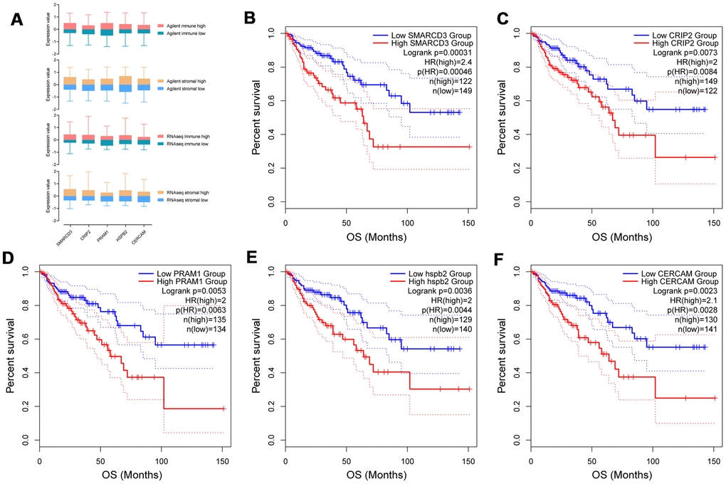 Expression of SMARCD3, CRIP2, PRAM1, HSPB2 and CERCAM in groups with different immune or stromal scores (A). Kaplan-Meier survival analysis based on expression value of these genes using TCGA COAD data (B–F).