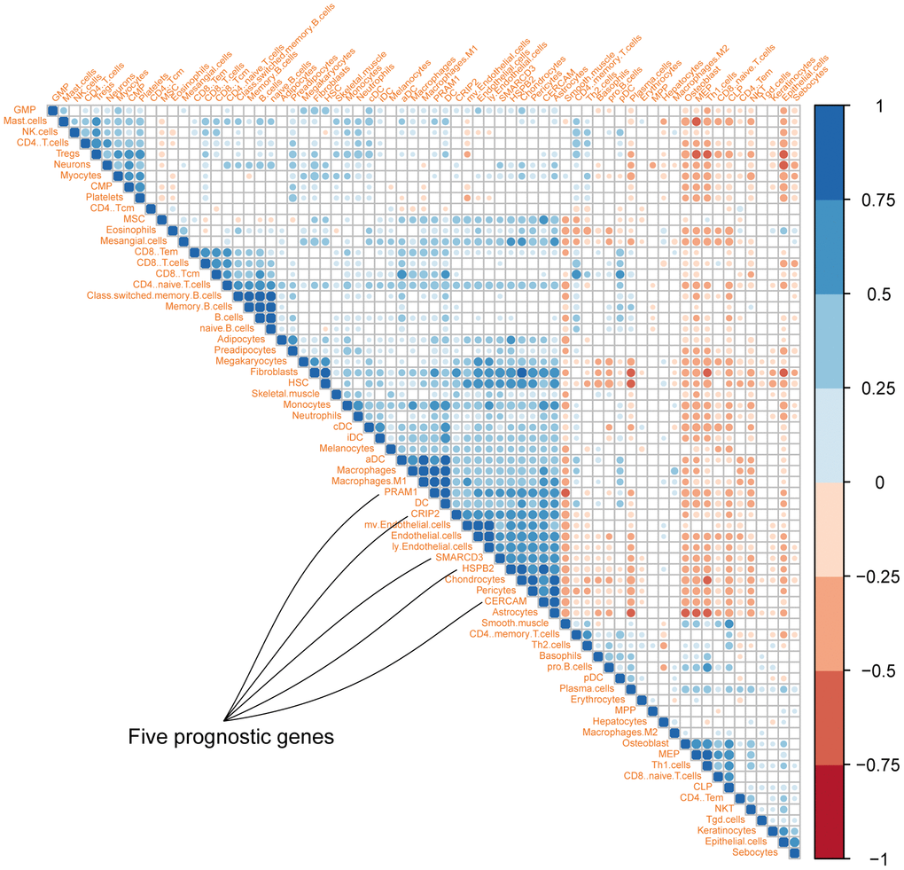 Correlation map of five genes with different cell types in colon cancer microenvironment (Different colors represent spearman r values).