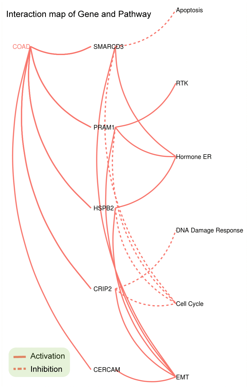 Gene-Pathway interaction network of SMARCD3, CRIP2, PRAM1, HSPB2 and CERCAM in colorectal cancer.