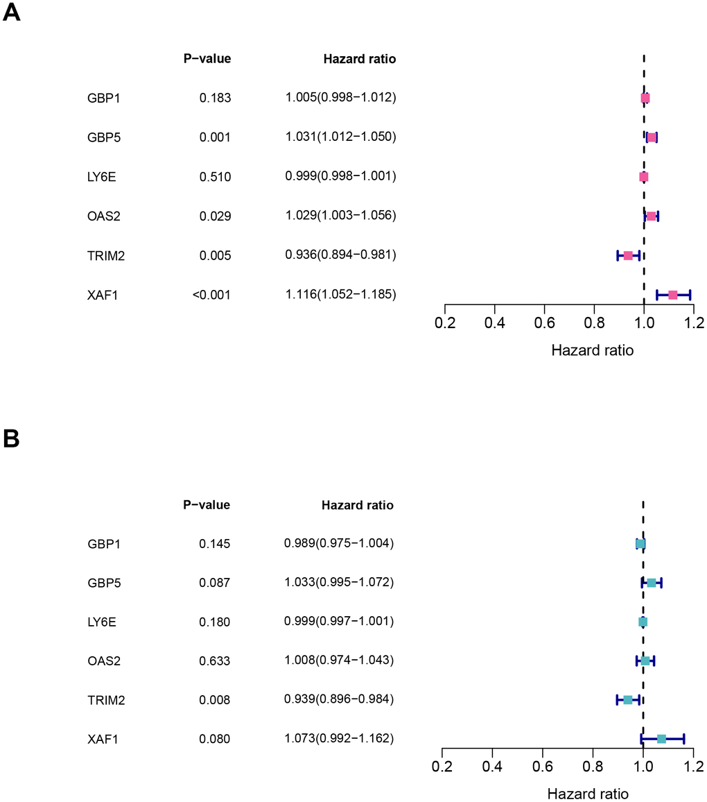 Characteristics of six hub genes in the prognostic risk models. (A) univariate cox and (B) multivariate cox regression coefficients and hazard ratios of the six hub genes.