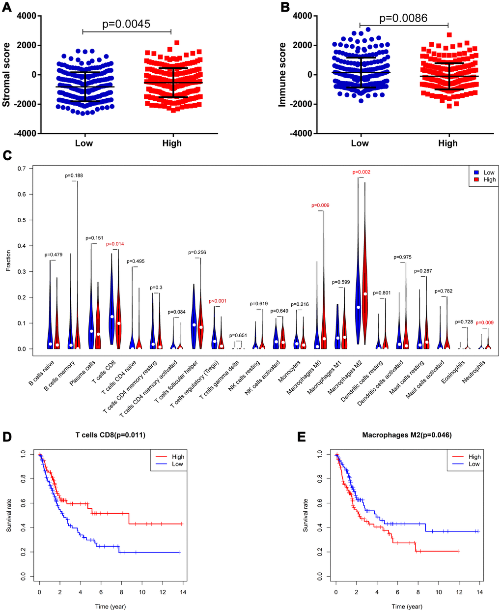 Correlation of the 8-IRlncRNA signature with immune cell infiltration. (A) The stromal score in the low- and high-risk groups. (B) The immune score in the low- and high-risk groups. (C) The difference of 22 tumor-infiltrating immune cells among risk groups as defined by the 8-IRlncRNA signature. (D, E) The survival analysis for the abundance ratios of the T cells CD8 (D) and macrophages M2 cells (E). The red line indicates a high expressing group of immune cells, and the blue line indicates a low expressing group of immune cells.