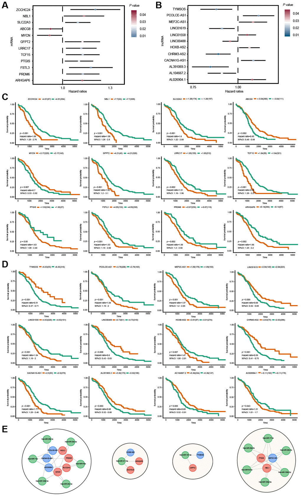 Survival analysis for lncRNAs and mRNAs in the ceRNA network. (A, B) Forest plots of hazard ratios (HR) of survival-associated mRNAs and lncRNAs in the ceRNA regulatory network. (C, D) Kaplan-Meier survival curves for mRNAs and lncRNAs. The horizontal axis indicates the overall survival time in days, and the vertical axis shows the survival rate. (E) The OS-specific ceRNA sub-network. The lncRNAs, miRNAs and mRNAs are indicated as blue, green and red, respectively.