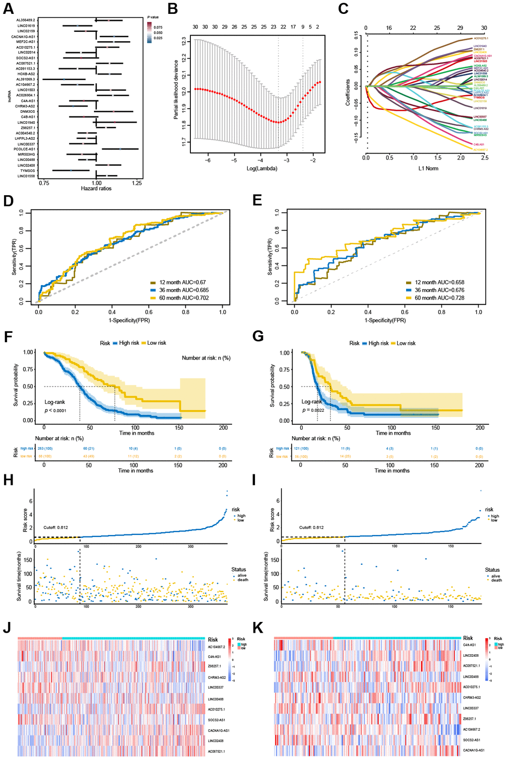 Identification and performance evaluation of the 11-lncRNA signature. (A) Forest plots of hazard ratios (HR) of the 30 potential OS-associated lncRNAs.(B) Selection of the tuning parameter (lambda) by ten-fold cross-validation based on the minimum criteria for OS. (C) The coefficient profiles of the 30 potential OS-associated lncRNAs at varying levels of penalty. (D, E) The time-dependent ROC curves of the 11-lncRNA signature in predicting OS and DFS. (F, G) Kaplan-Meier curves of patients with low or high risk in the TCGA-OS cohort and TCGA-DFS cohort. (H, I) Risk score distribution and survival status of patients in the TCGA-OS cohort and TCGA-DFS cohort. (J, K) RNA expression heat map of the 11 prognostic signature between low-risk and high-risk groups in the TCGA-OS cohort and TCGA-DFS cohort.
