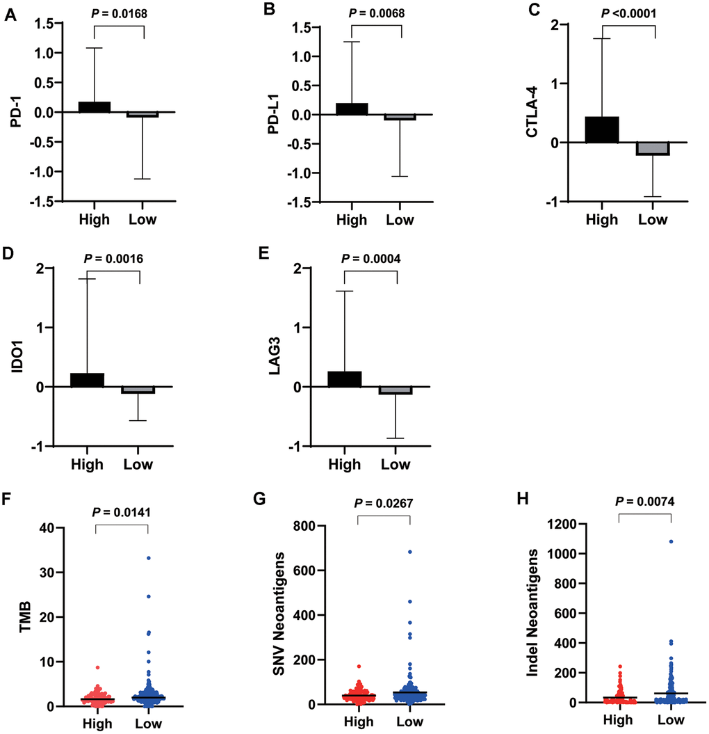 Expression levels of important checkpoint molecules including PD-1 (A), PD-L1 (B), CTLA-4 (C), IDO1 (D), and LAG3 (E) were all significantly higher in the high VEGF score subtype. Significantly lower TMB (F), SNV neoantigen number (G), and indel neoantigen number (H) were observed in the high VEGF score subtype.