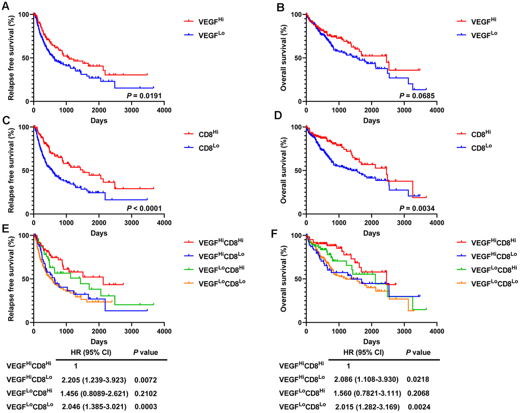 Survival analysis of 365 HCC patients. High VEGF score subtype (A, B) and high activated CD8+ T cells (C, D) predicted favorable prognosis. Improved RFS and OS were observed in the VEGFHiCD8Hi group compared to the VEGFHiCD8Lo group and the VEGFLoCD8Lo group, but not the VEGFLoCD8Hi group (E, F).