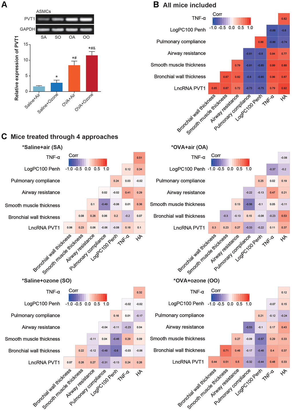 Association of lncRNA PVT1 with airway smooth function of asthmatic mice. (A) PVT1 expression was determined within ASMCs that were extracted from mice models of saline+air (SA), saline+ozone (SO), OVA+air (OA) and OVA+ozone (OO) groups. *: PPPB, C) Correlation matrixes were generated regarding PVT1 expression and airway smooth function in all asthmatic mice (B) and in asthmatic mice handled through 4 approaches (C).