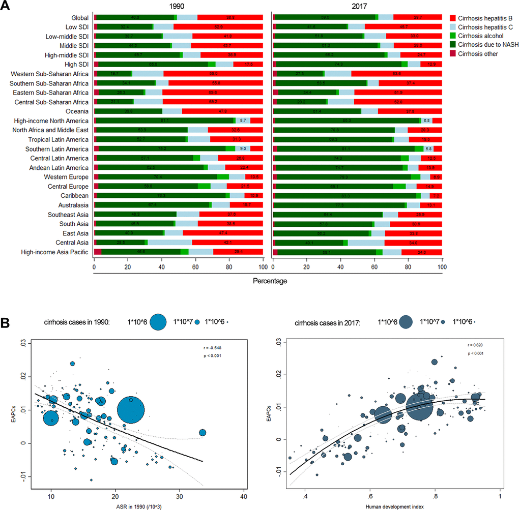 (A) Composition ratio of each etiology in prevalence cases of liver cirrhosis in 1990 and 2017. (B) The correlation between EAPC and ASR in 1990, HDI in 2017.