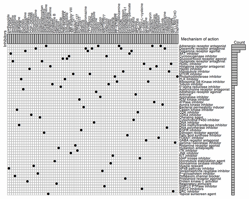 Identification of novel candidate drugs targeting methylation signatures.