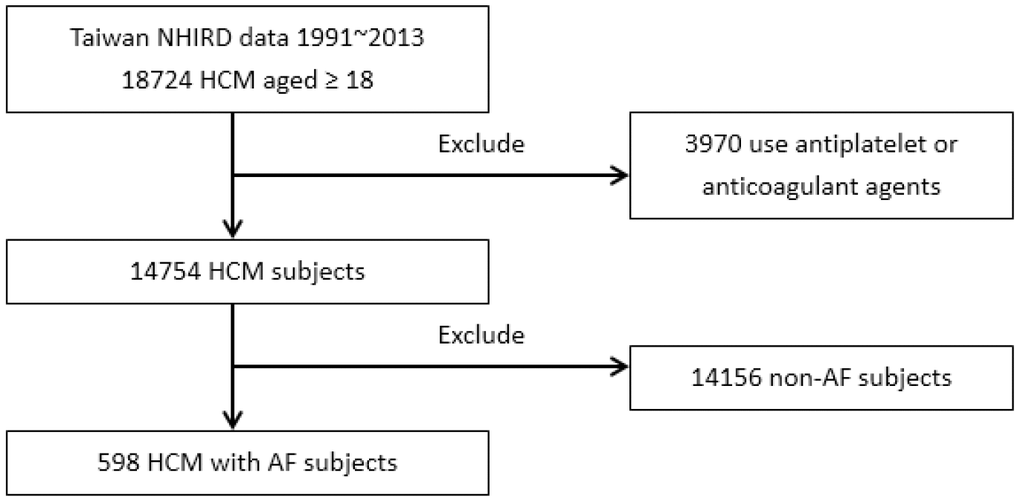 Enrollment of patients with HCM and AF.