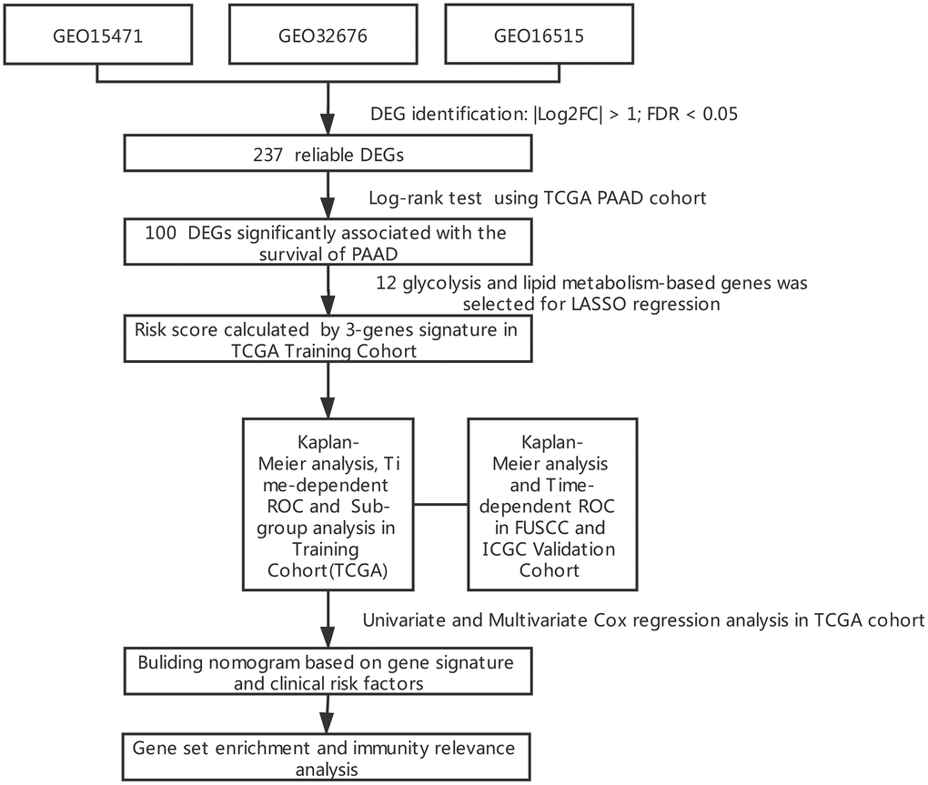 Flowchart presenting the process of establishing the gene signature in this study.