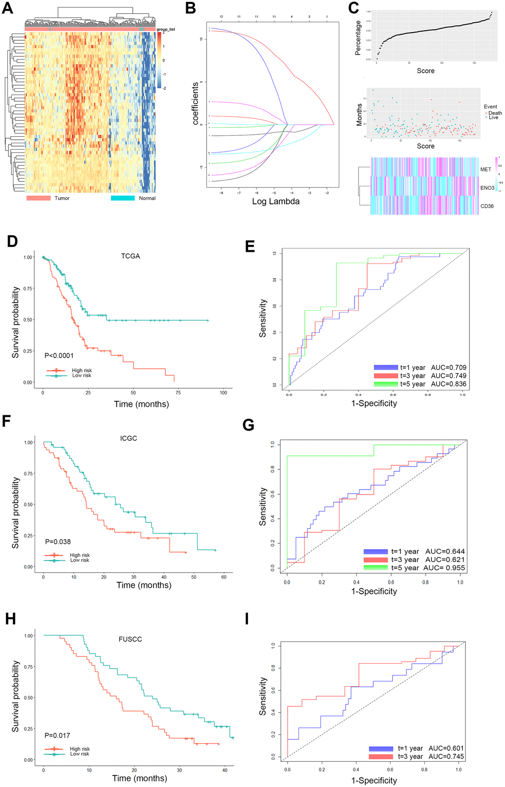 Lasso analysis and Kaplan-Meier curve for the patients in the TCGA, ICGC and FUSCC cohorts. (A) Representative heatmap of the DEGs significantly related to OS time identified by the log-rank test in the TCGA cohort. (B) LASSO coefficient profiles of the 12 glycolysis and lipid metabolism-based genes. LASSO, least absolute shrinkage and selection operator method. (C) Risk score analysis of the differentially expressed DEG signatures of PDAC. Risk scores of DEG signatures (top); survival status and duration of cases (middle); low-score and high-score groups for the three genes (bottom). (D) The Kaplan-Meier plot (low risk vs. high risk PDAC cases) of 5-year overall survival in the TCGA cohort. (E) Time-dependent ROC analyses at 1, 3, and 5 years in the TCGA cohort. (F) The Kaplan-Meier plot (low risk vs. high risk PDAC cases) of 5-year overall survival in the ICGC cohort. (G) Time dependent ROC analyses at 1, 3, and 5 years in the ICGC cohort. (H) The Kaplan-Meier plot (low risk vs. high risk PDAC cases) of 5-year overall survival in the FUSCC cohort (I). Time dependent ROC analyses at 1, 3, and 5 years in the FUSCC cohort.