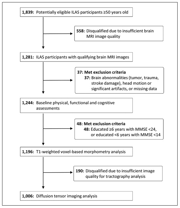 Cerebellar-limbic neurocircuit is the novel biosignature of physio