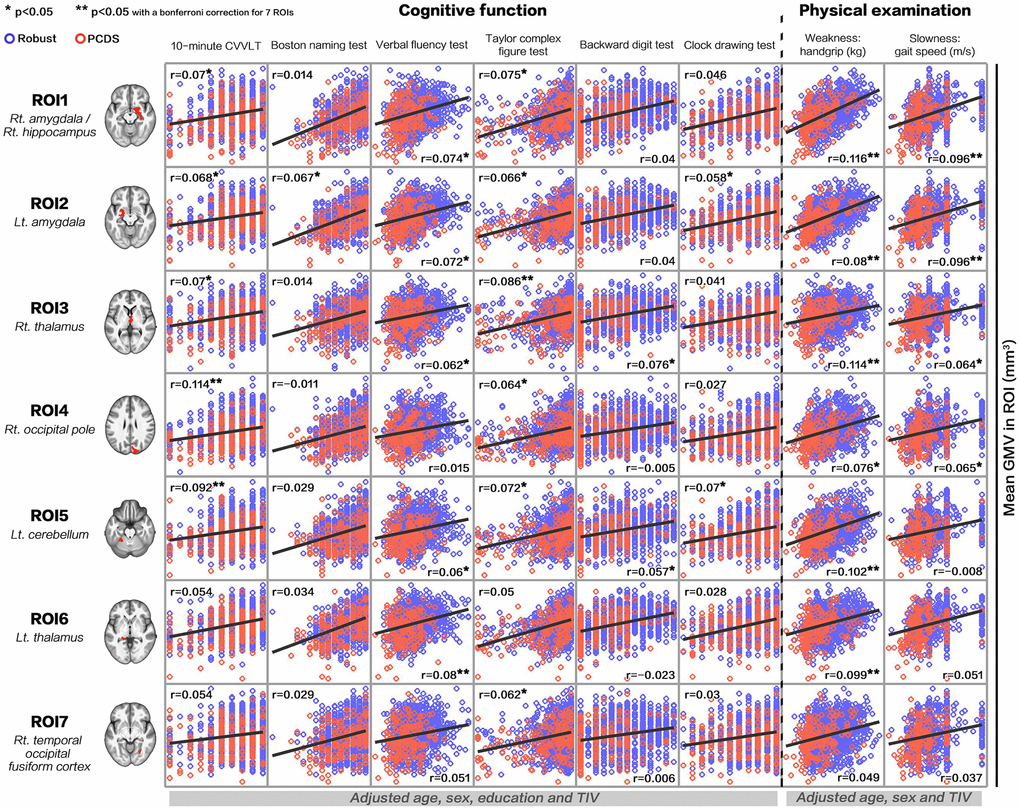 Correlations between gray-matter volume in physio-cognitive decline syndrome-associated brain regions and each cognitive/physical domain. PCDS = physio-cognitive decline syndrome; ROI = region of interest; Rt. = right; Lt. = left; CVVLT = Chinese version Verbal Learning Test.