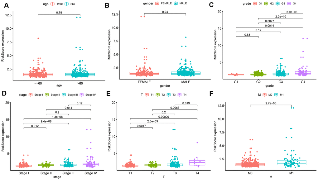 Relationships between risk score and various clinical parameters. Risk scores in cohorts stratified by age (A), gender (B), grade (C), AJCC stage (D), T stage (E), and M stage (F). Risk score is significantly associated with grade, AJCC stage, T stage, and M stage, but not with age or gender.