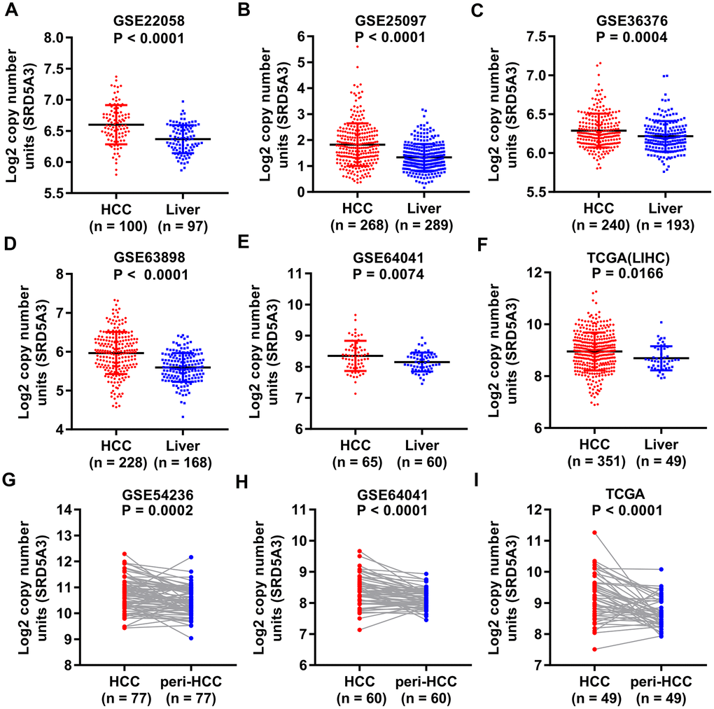 SRD5A3 is generally highly expressed in HCC tumor tissues compared to non-HCC liver tissues. SRD5A3 expression in HCC tumor tissues and non-HCC liver tissues were shown for the (A) GSE22058, (B) GSE25097, (C) GSE36376, (D) GSE63898, (E) GSE64041 and (F) TCGA(LIHC) datasets (unpaired t-test). SRD5A3 expression in HCC tumor tissues and adjacent non-HCC liver tissues (peri-HCC) were shown for the (G) GSE54236, (H) GSE64041 and (I) TCGA(LIHC) datasets ((unpaired t-test)). SRD5A3 mRNA level was shown as log2 copy number units. LIHC, liver hepatocellular carcinoma.