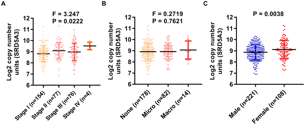 The expression of SRD5A3 is correlated with the clinical stage and the gender of HCC patients. In the TCGA(LIHC) dataset, the correlation between (A) clinical stage, (B) vascular invasion, (C) gender, and SRD5A3 expression was analyzed in HCC patients with clinical data. LIHC, liver hepatocellular carcinoma (HCC).