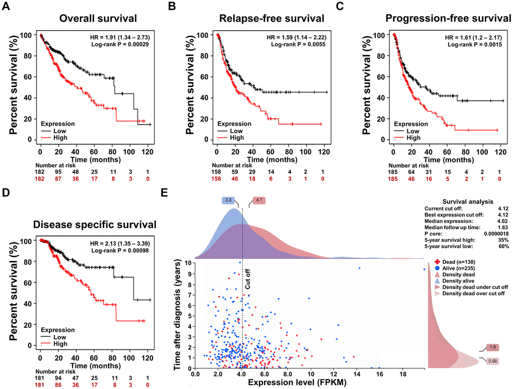 The association of the SRD5A3 expression and the prognosis of HCC. (A) Overall survival (OS), (B) relapse-free survival (RFS), (C) progression-free survival (PFS) and (D) disease specific survival (DSS) curve based on high and low expression levels of SRD5A3 from the Kaplan–Meier plotter survival analysis platform. (E) Prognostic significance of SRD5A3 expression in HCC in the Human Protein Atlas database. HR, hazard ratio.