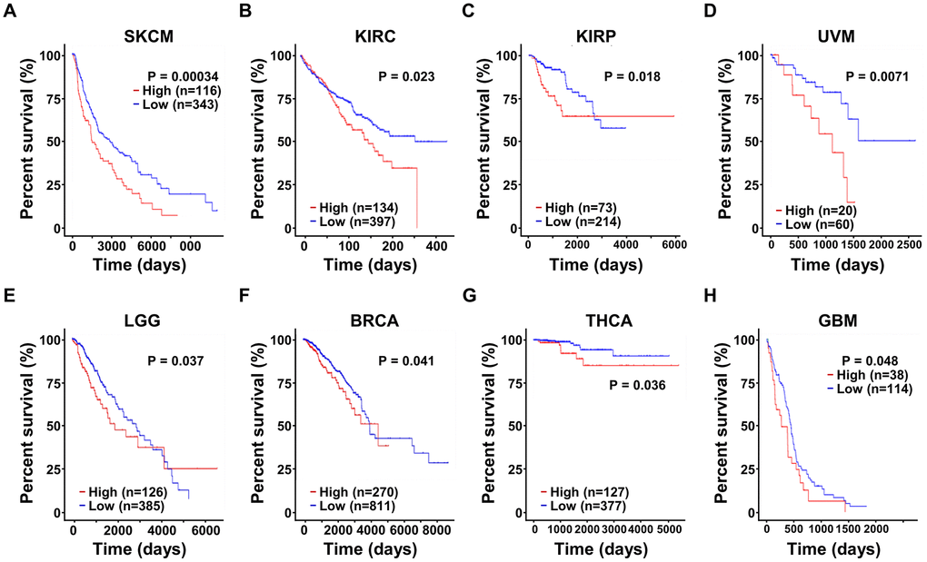 The expression of SRD5A3 has prognostic value in various malignant cancers. In the UALCAN website portal, the effect of high and low expression levels of SRD5A3 on the overall survival of (A) skin cutaneous melanoma (SKCM), (B) kidney renal clear cell carcinoma (KIRC), (C) kidney renal papillary cell carcinoma (KIRP), (D) uveal melanoma (UVM), (E) brain lower grade glioma (LGG), (F) breast invasive carcinoma (BRCA), (G) thyroid carcinoma (THCA) and (H) glioblastoma multiforme (GBM) cancer patients.