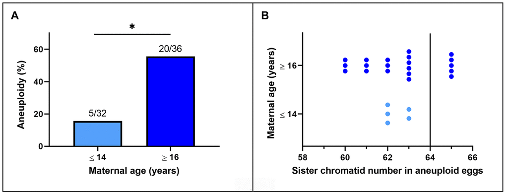 (A) Incidence of aneuploidy in in vitro matured MII horse oocytes from mares of different ages (*, pB) Frequency distribution of sister chromatid counts for the oocytes identified as aneuploid. The vertical line indicates the euploid number.