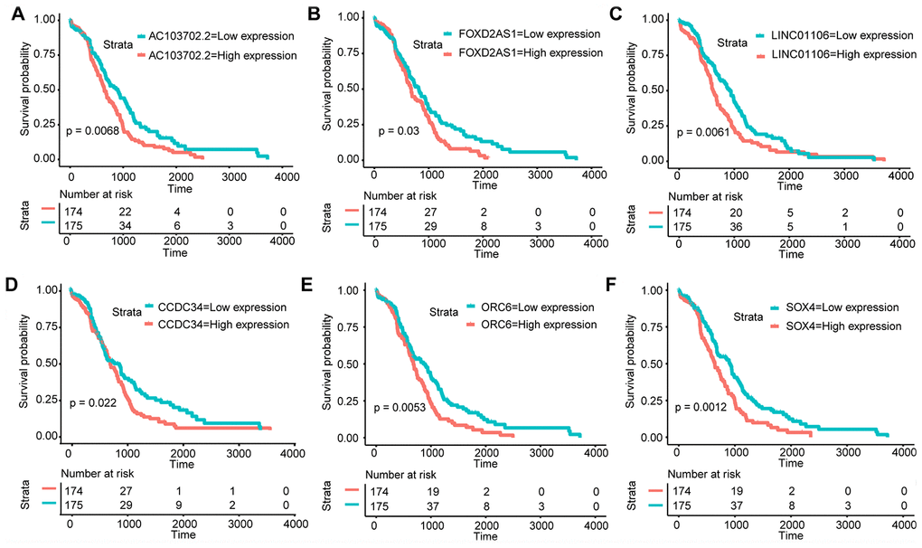 KM analysis. KM survival curves of the hub RNAs in the ceRNA network. (A) AC103702.2; (B) FOXD2-AS1; (C) LINC01106; (D) CCDC34; (E) ORC6; (F) SOX4.