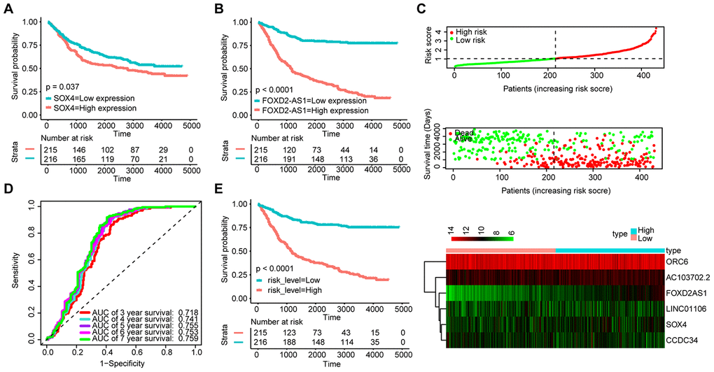 Validation of the signature with the GSE84437 dataset (n = 431). KM survival curves of FOXD2-AS1 (A) and SOX4 (B); (C) Distribution of the ceRNA-based signature scores, lncRNA expression levels and patient survival durations in the GSE84437 validation set. (D) ROC curve analyses based on the signature. (E) KM curves of OS according to the risk score.
