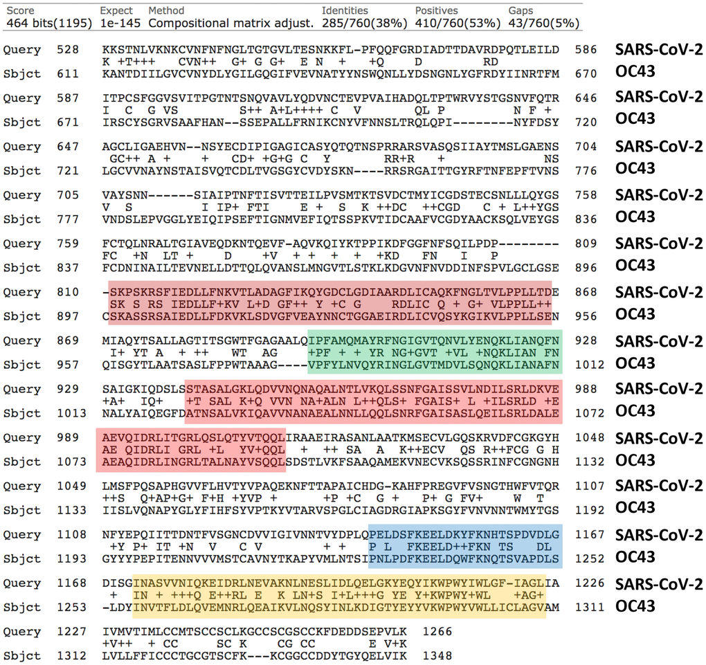 Protein sequence alignments of the Viral Spike Glycoproteins (VSGs) from SARS-CoV-2 and the related Human Coronavirus OC43. Areas of high sequence homology are highlighted in color, which may represent potentially shared epitopes for immune recognition. Generated using the online program BLASTP, by pairwise sequence analysis.