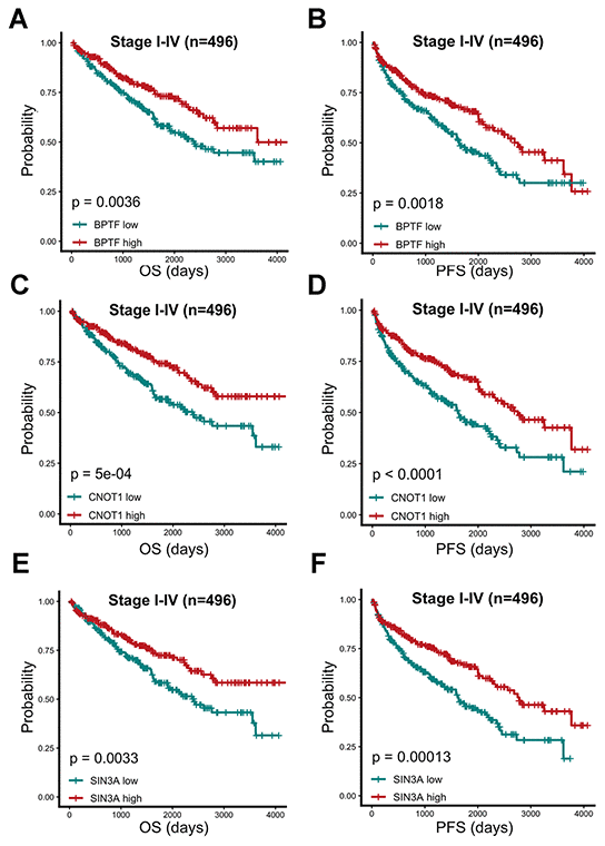 Prognostic analysis of three characterized chromatin-remodeling factors upon 496 TCGA-KIRC patients. Comparison of overall and progression-free prognostic differences between two groups divided by BPTF (A, B), CNOT1 (C, D) and SIN3A (E, F) expression levels based on median expression level.
