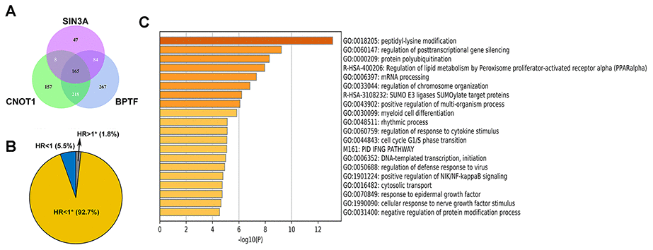 The properties of the intersected genes. (A) Venn diagram shows the number of intersection genes of genes in which correlation with BPTF, CNOT1, and SIN3A was greater than 0.6. (B) Univariate Cox regression results for the overall survival of all 165 intersected genes were displayed by ratio pie plot. "*" means the statistic P-value was significant (PC) Top 20 results of gene ontology analysis upon all 165 intersected genes.