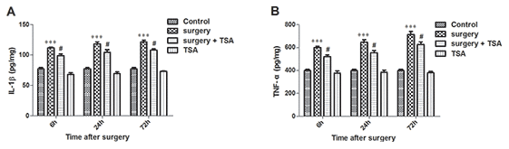 Effects of laparotomy on the levels of hippocampal IL-1β and TNF-α in aged rats. Compared with control rats, significant changes in the levels of IL-1β (A) and TNF-α (B) are observed at 6 h, 24 h and 72 h after surgery, which was significantly inhibited by TSA pretreatment. Data are given as means {plus minus} SEM, n = 5. ***P 