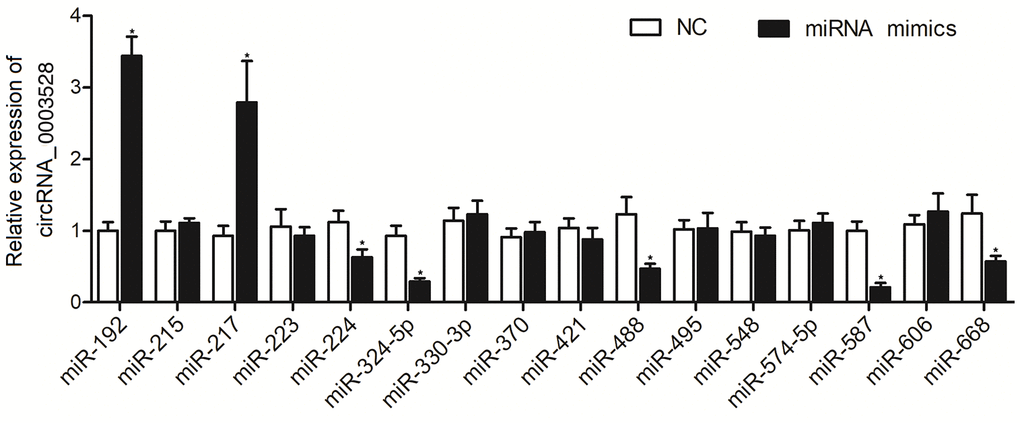 Among the 16 candidate miRNAs, the expressions of miR-224-5p, miR-324-5p, miR-488-5p, miR-587, and miR-668 were negatively correlated with the expression of hsa